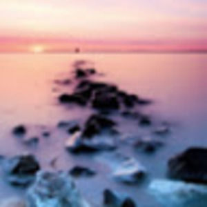 Meet your Posher, Abigail